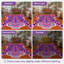 Tapis orange / rose à motif antidérapant Kai Sunset Jungle-607395829