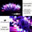 Gildus 396'' LED String Lights