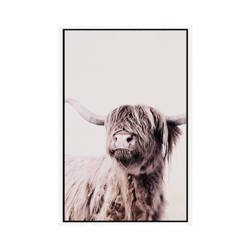 Highland Cattle Frida Creme 1 Piece Wall Art on Canvas, 101.6 cm H x 66.04 cm W, White Framed