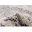 Tapis abstrait ivoire / gris Edmore-1114369801