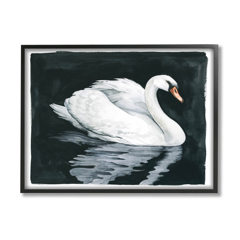 Portrait de cygne élégant, estampe numérique par Grace Popp, Giclée encadrée noir minuit, H 24 po x l 30 po x P 1,5 po