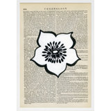 Phrenology Print by Michela Sorrentino