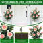 Arrangement
