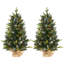 Christmas Tree-1144468084