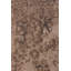 Hundley Wool Floral Area Rug-1412546372