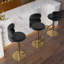 Height Adjustable Bar Stool