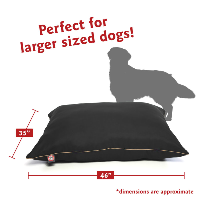 Coussin Super Value, Noir, Moyen (l 35 po x P 28 po x H 7 po) ;