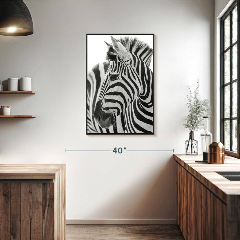 Kruger Zebra, 25" X 37", Floating Frame Black