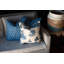 Ardmore Cotton Pillow-1136518