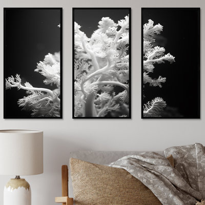 «Black and White Coral Plant I - Coastal Coral Under Water», art mural sur toile
