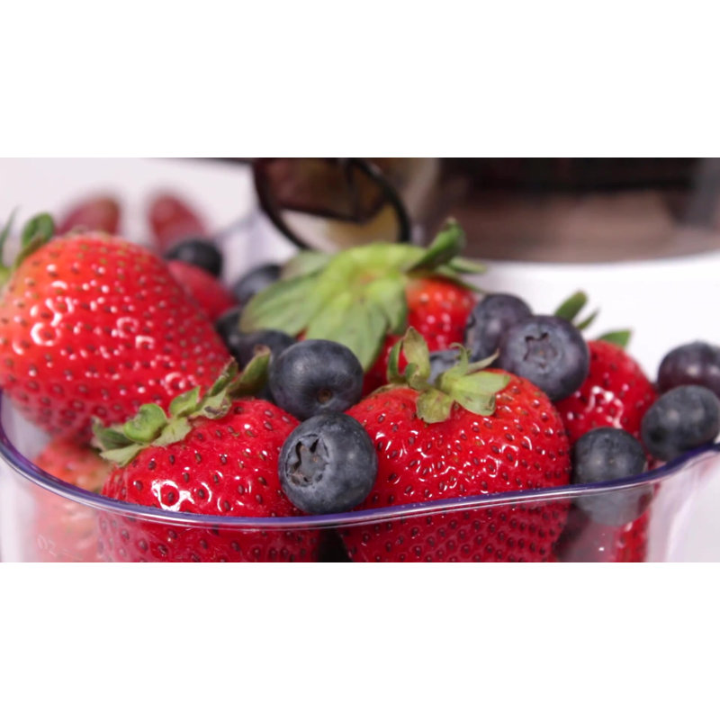 White Electric Slow Masticating Juicer with Reverse Function