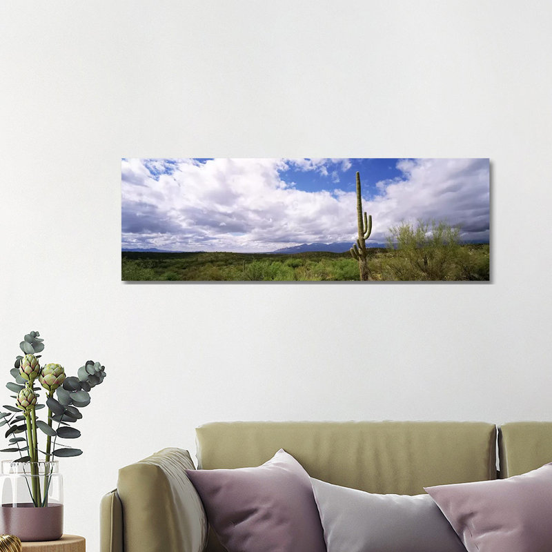 Cactus In A Desert, Saguaro National Monument, Tucson, Arizona, USA - Wrapped Canvas Panoramic Print