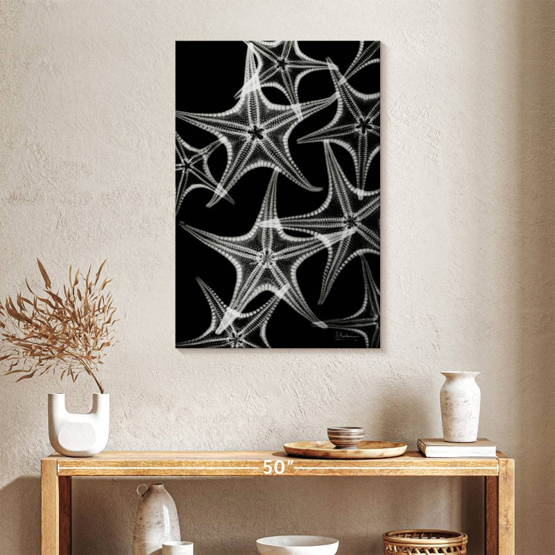 Brampt White Starfish, 36" H x 24" W