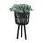 Includes plant rack flower pots