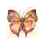 Vibrant Butterfly II Print by Beverly Fuller-26928288-26928289