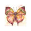 Vibrant Butterfly II Print by Beverly Fuller-26928289-26928291