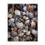 Horloge murale grise Harmony II - animaux surdimensionnée-99631366