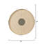 Sundial Seagrass Round Wall Art, Teal-646799781