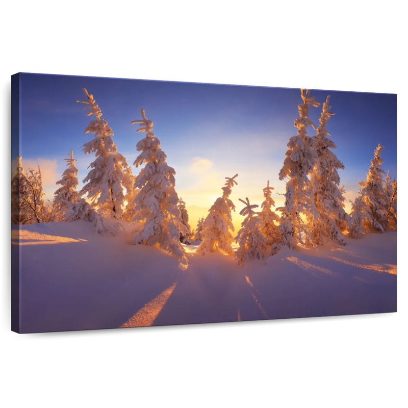 Alvord Winter Forest Sunset