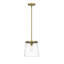 Luminaire suspendu 1 lumière Asine