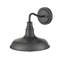 Luminaire de grange d'extérieur à 1 ampoule H 10 po Mckown-1998938480