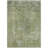 Machine Washable Indoor/Outdoor Claudian ACN1629 Aloe Rug-104302314