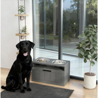 Elevated Dog Bowls with 2 Stainless Steel Bowls