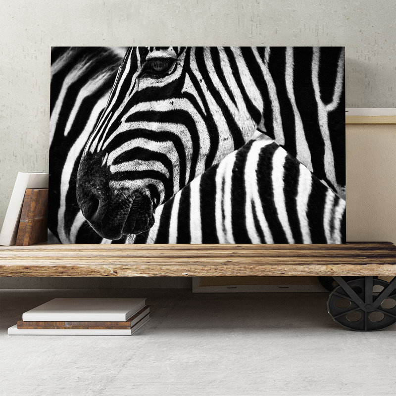Zebra Stripes Photographic - Wrapped Canvas, 50cm H x 76cm W
