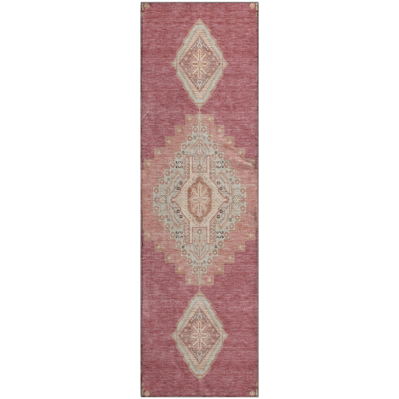 Premium Machine Washable Colmenero AMF1014 Oriental Rug, Runner 2'3" x 7'6"