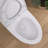 One-Piece Toilet 1.1/1.6 GPF Dual Flush Elongated With Chair Height Toilet In White Soft Close Seat Included