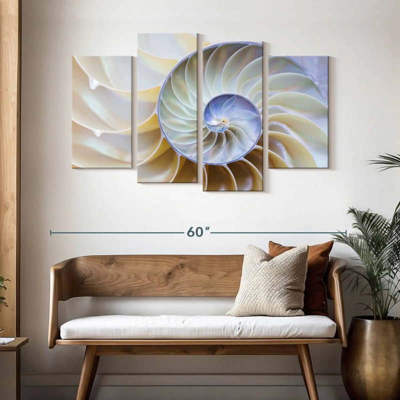 Empty Nautilus Shell, 32" H x 52" W