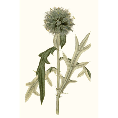 Soft Blue Botanicals VI by Curtis - Painting on Canvas