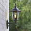 Shanghai 49cm H Outdoor Wall Lantern