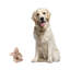 Amie Figurines & Sculptures