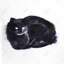 Abstrait aquarelle de chat - reproduction encadrée mate pour la décoration intérieure-1041340939-1041340941