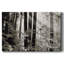 Misty Forest - Photographie sur toile tendue-1307047708