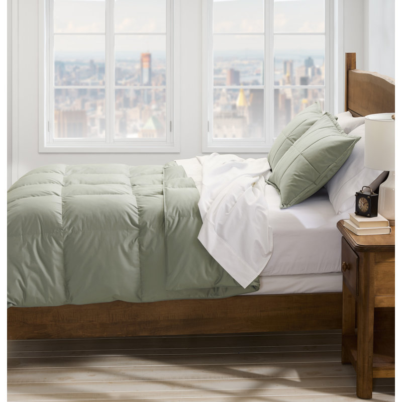 Cuddledown Chroma Down Alternative Comforter, Meadow, Twin Comforter, All Season
