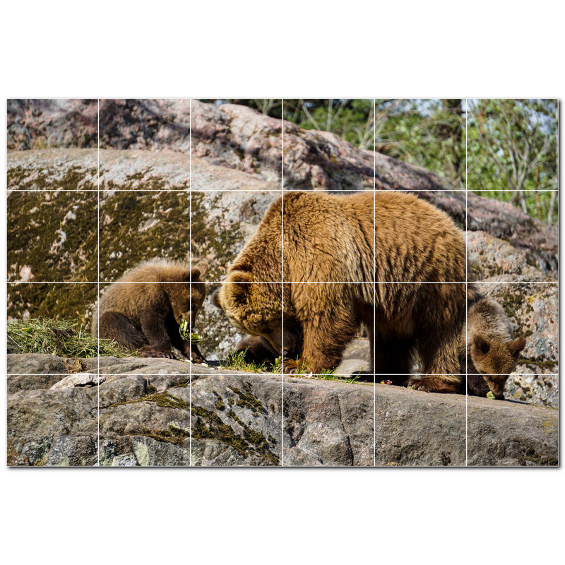 Murale en céramique satinée Bear Photo 8 po x 8 po
