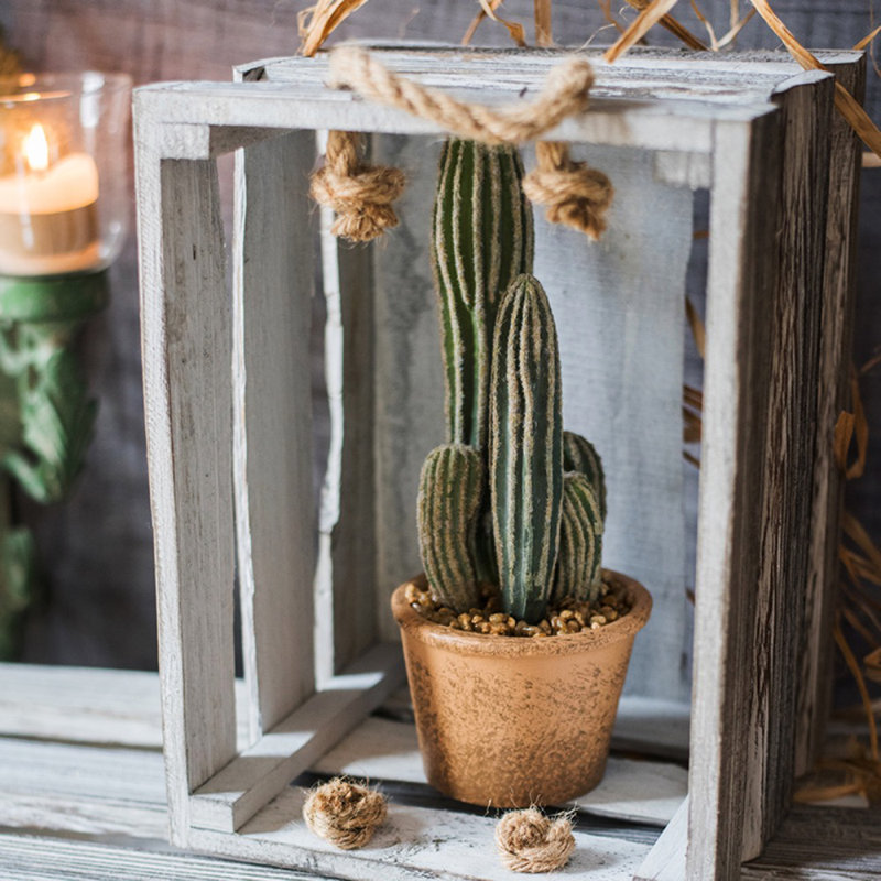 Cactus en pot, H 15,9 po x l 5,5 po x P 3,9 po