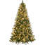 Sapin de Noël artificiel givré 7,5 pi avec 500 lumières Kaylisa -1027120900