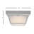 Gulbahar Acrylic LED Flush Mount-925373873