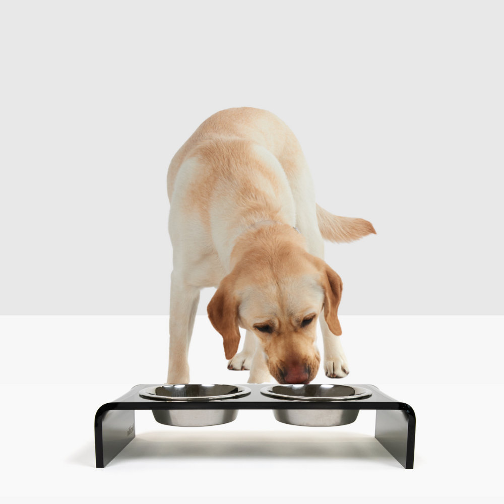 Acrylic Elevated Dog Cat Bowls Pet Feeder Double Bowl Raised Stand
