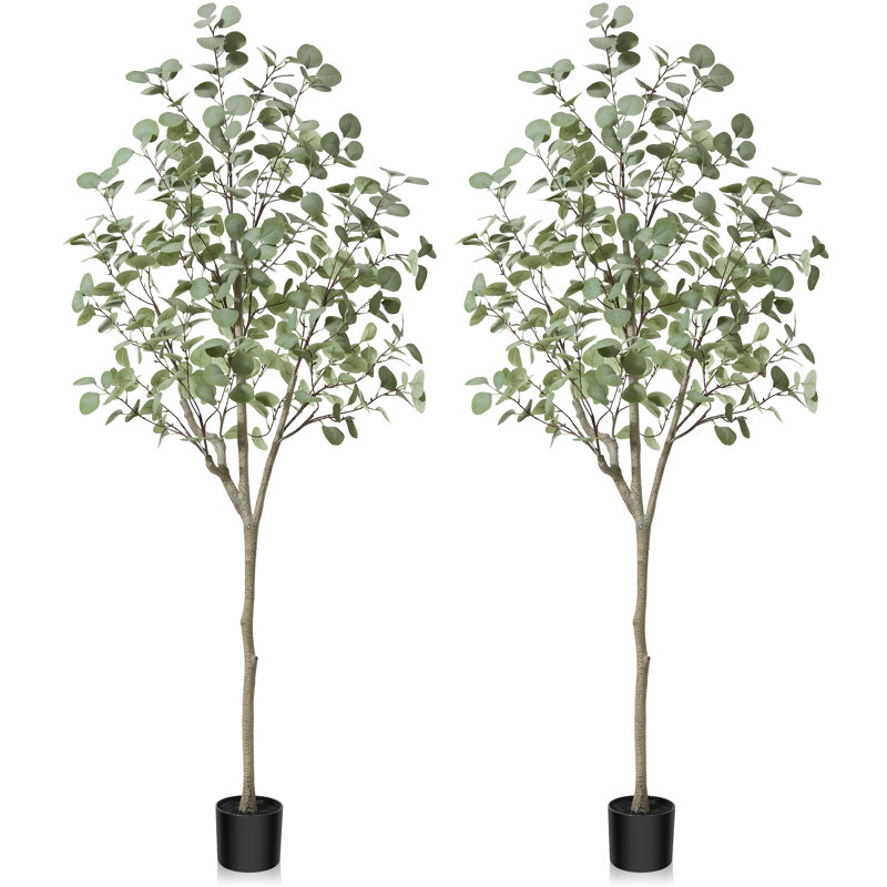 Arbre d'eucalyptus artificiel Adcock, 2, H 71 po x l 30 po x P 30 po