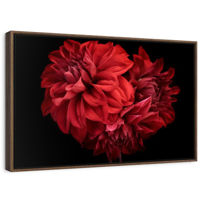 Dahlia rouge en fleurs