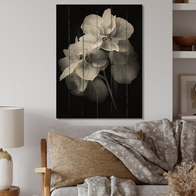 Hortensia noir et blanc Cessily I sur bois