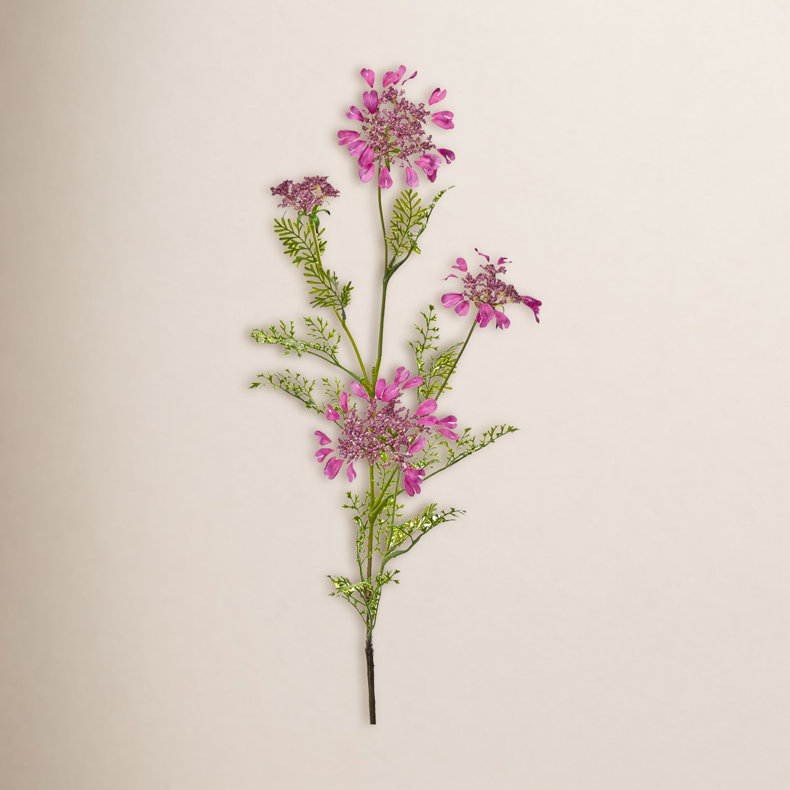 Field Yarrow Stems, Hot Pink