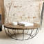 Sandrine Pedestal Coffee Table-21305913-21417319