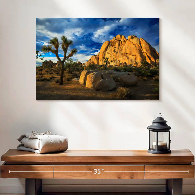Nicci Joshua Tree Park Old Woman Rock, H 16 po x l 24 po