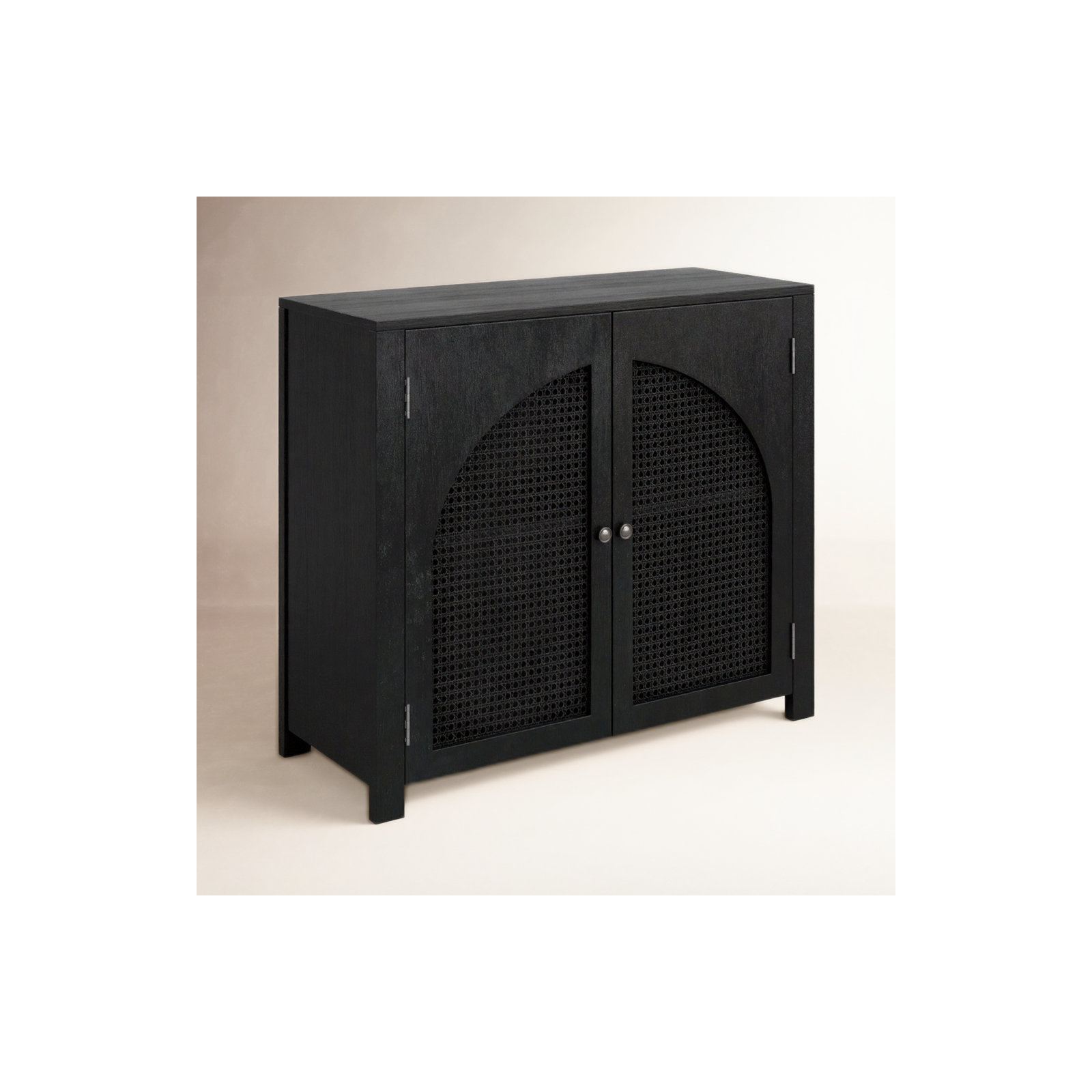 Tyche 2 -Door Storage Cabinet, Black
