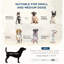 Lit pour chien de petite à moyenne taille avec coussin gris et compartiment de rangement dissimulé, coussin moelleux pour chien
